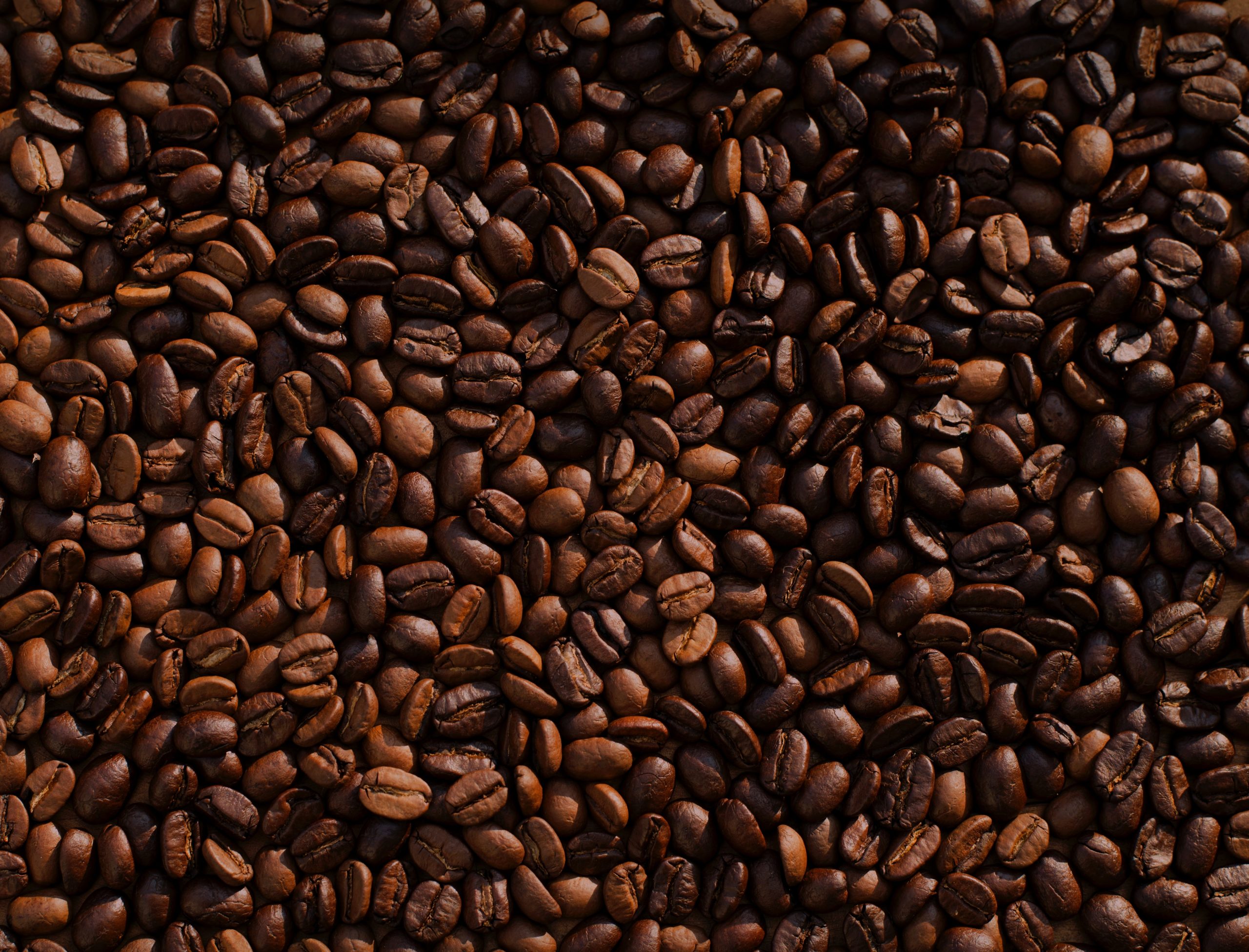 コーヒー豆の種類と優良販売店の見極め方