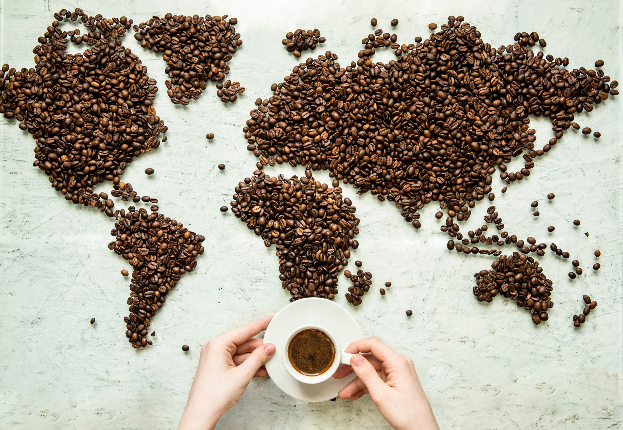 世界のコーヒー豆産地別！各地の特徴と味わいを徹底比較